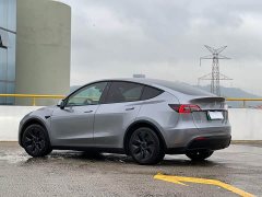 Tesla Model Y Rear-Wheel Drive - ფოტო 4