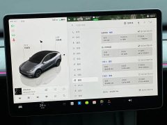 Tesla Model Y Rear-Wheel Drive - ფოტო 9