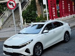 Kia K3 1.5L CVT Luxury Edition - ფოტო 9
