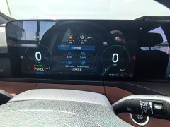 Ford Lingyu New Energy Lingyue New Energy Zunling PLUS - ფოტო 5