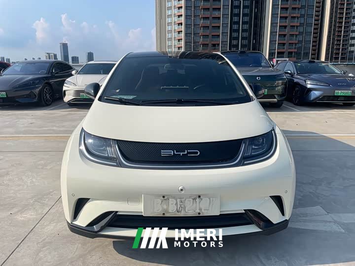 BYD Dolphin 420km Fashion Edition - ავტომობილი ჩინეთიდან