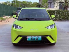 BYD Seagull Freedom Edition - ფოტო 2