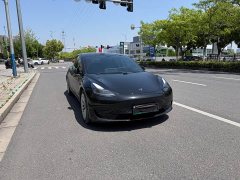 Tesla Model 3 Rear-Wheel Drive - ფოტო 1