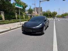 Tesla Model 3 Rear-Wheel Drive - ფოტო 2
