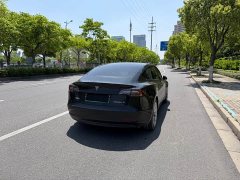 Tesla Model 3 Rear-Wheel Drive - ფოტო 4