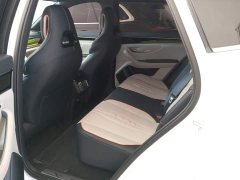 BYD Song Plus New Energy 2023 Champion Edition EV 520KM Flagship - ფოტო 11
