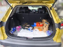 Toyota Frontlander 2.0L CVT Luxury - ფოტო 20