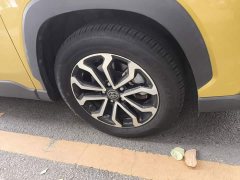 Toyota Frontlander 2.0L CVT Luxury - ფოტო 8