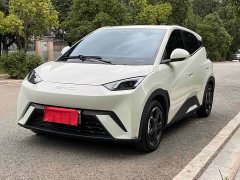 BYD Seagull 2023 Flying Edition - ფოტო 1
