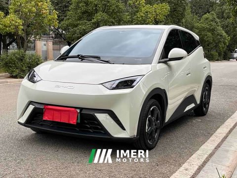 2024 BYD Seagull 2023 Flying Edition - ავტომობილი ჩინეთიდან