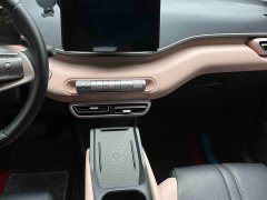 BYD Seagull 2023 Flying Edition - ფოტო 19