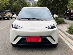 BYD Seagull 2023 Flying Edition - ფოტო 2
