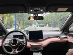 BYD Seagull 2023 Flying Edition - ფოტო 20