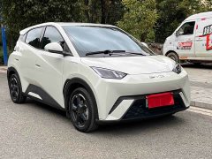BYD Seagull 2023 Flying Edition - ფოტო 3