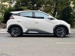 BYD Seagull 2023 Flying Edition - ფოტო 4