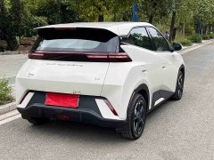 BYD Seagull 2023 Flying Edition - ფოტო 5