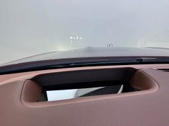 Mercedes-Benz Maybach GLS 600 4MATIC Lile Edition - ფოტო 8