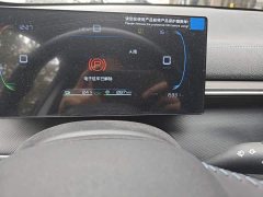 BYD Destroyer 05 2024 Glory Edition DM-i 55KM Luxury - ფოტო 8