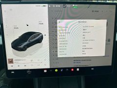 Tesla Model 3 2024 High Performance All-Wheel Drive - ფოტო 9