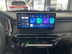 Haval Chitu Jingxiang Edition 1.5T Purple Copper Rabbit - ფოტო 10