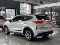 Haval Chitu Jingxiang Edition 1.5T Purple Copper Rabbit - ფოტო 14