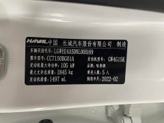 Haval Chitu Jingxiang Edition 1.5T Purple Copper Rabbit - ფოტო 4
