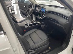 Haval Chitu Jingxiang Edition 1.5T Purple Copper Rabbit - ფოტო 7