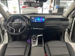 Haval Chitu Jingxiang Edition 1.5T Purple Copper Rabbit - ფოტო 8