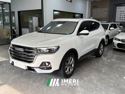 2022 Haval H6 2021 National Trend 1.5T Automatic Champion Edition - ავტომობილი ჩინეთიდან
