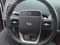 Li Auto L6 Pro - ფოტო 15