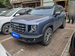 Great Wall Dachshund 2021 1.5T DCT Two-Wheel Drive Border Collie Edition - ფოტო 1
