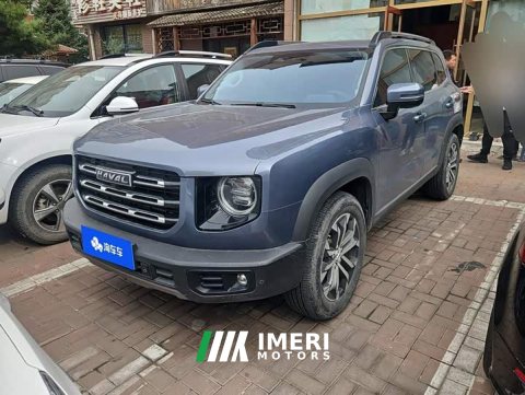 2022 Great Wall Dachshund 2021 1.5T DCT Two-Wheel Drive Border Collie Edition - ავტომობილი ჩინეთიდან