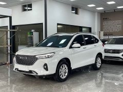 Haval M6 PLUS 1.5T DCT Luxury Smart Connected Edition - ფოტო 1