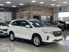 Haval M6 PLUS 1.5T DCT Luxury Smart Connected Edition - ფოტო 3