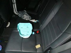 Toyota Wildland Vland 2022 2.0L CVT FWD Luxury Plus - ფოტო 18