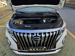 GAC Aion M8 2021 Lingxiu Series 390T Luxury Edition - ფოტო 19