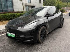 Tesla Model Y Standard Range RWD - ფოტო 1