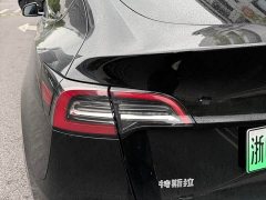 Tesla Model Y Standard Range RWD - ფოტო 10