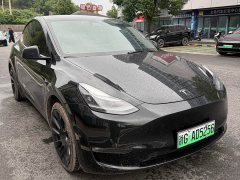 Tesla Model Y Standard Range RWD - ფოტო 15