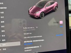Tesla Model Y Standard Range RWD - ფოტო 5