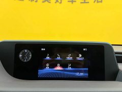 Lexus ES 2020 300h Premium Edition - ფოტო 15