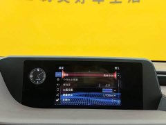 Lexus ES 2020 300h Premium Edition - ფოტო 18