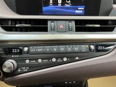 Lexus ES 2020 300h Premium Edition - ფოტო 19