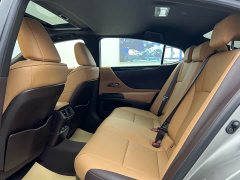 Lexus ES 2020 300h Premium Edition - ფოტო 9