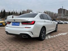 BMW 3 Series 320Li M Sport Package - ფოტო 7