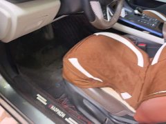BYD Qin PLUS Glory Edition DM-i 55KM Leading - ფოტო 9