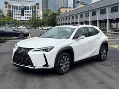 Lexus UX New Energy 2020 300e Pure Joy Edition - ფოტო 1
