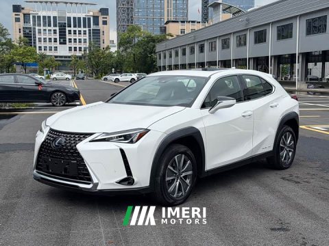 2022 Lexus UX New Energy 2020 300e Pure Joy Edition - ავტომობილი ჩინეთიდან