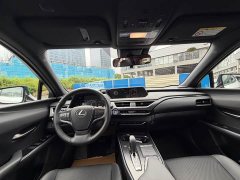 Lexus UX New Energy 2020 300e Pure Joy Edition - ფოტო 6