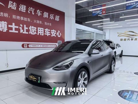 2021 Tesla Model Y Standard Range RWD - ავტომობილი ჩინეთიდან